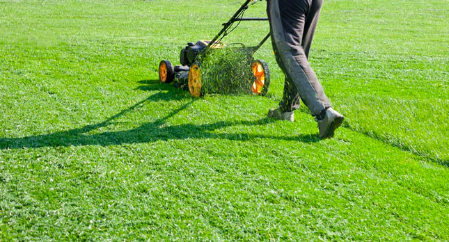 Lawn Care Services Image